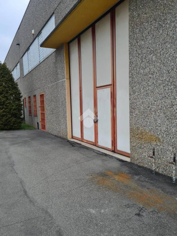 immagine annuncio 5 di 11