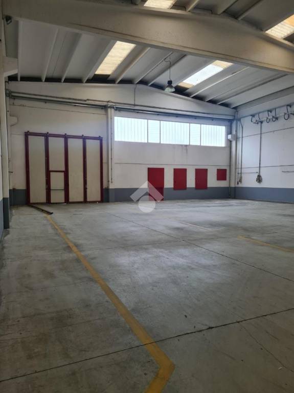 immagine annuncio 7 di 11