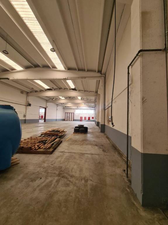 immagine annuncio 8 di 11