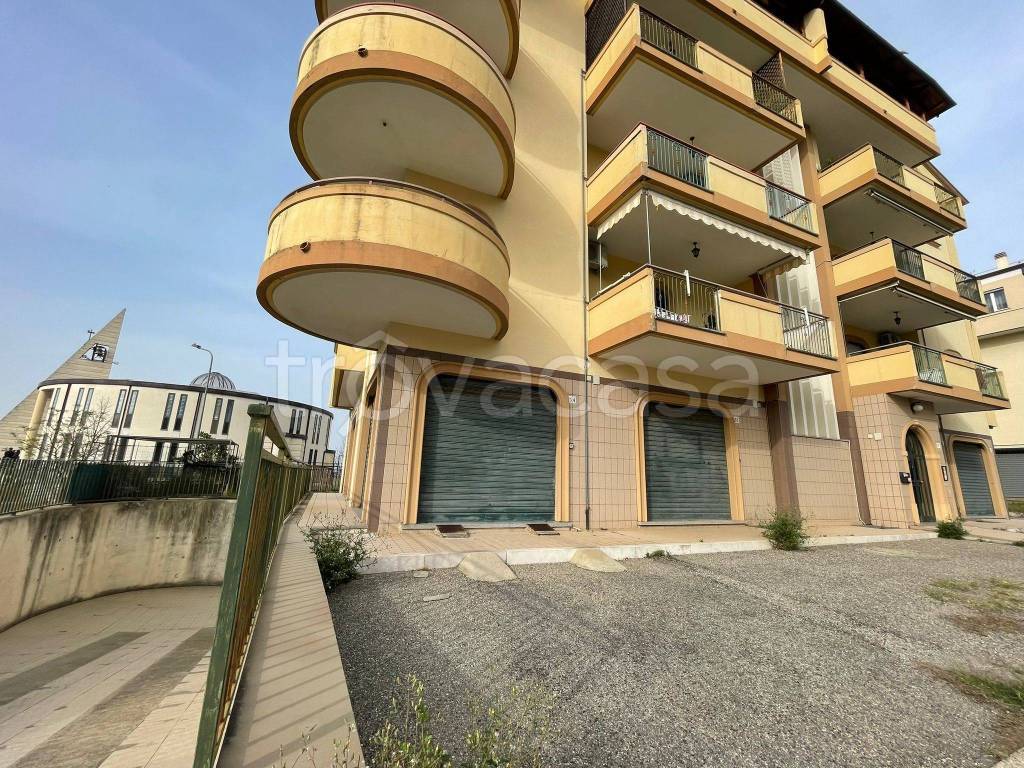 immagine annuncio 3 di 9