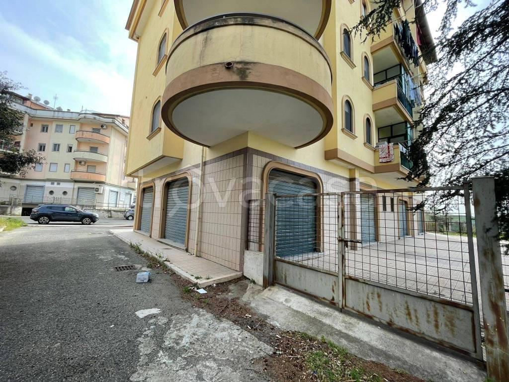 immagine annuncio 5 di 9