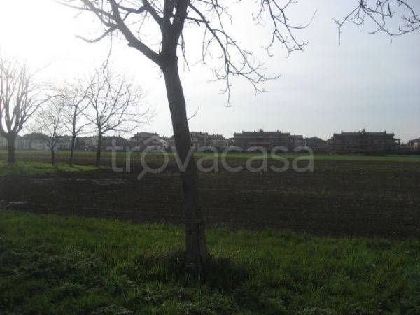 immagine annuncio 3 di 8