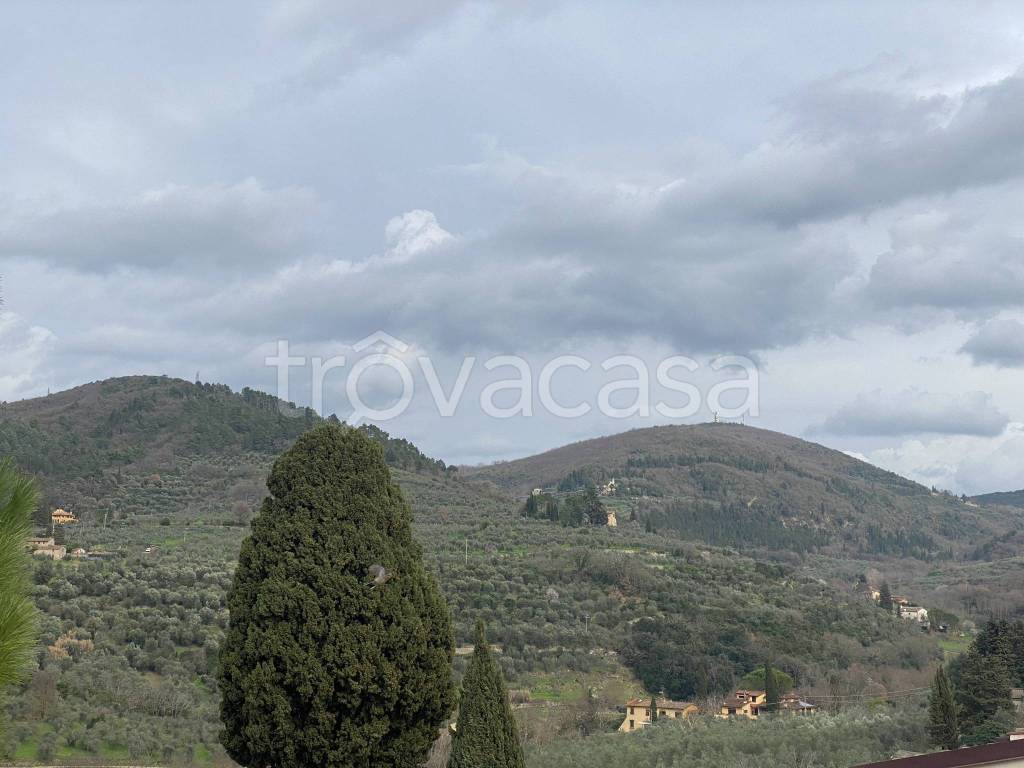 immagine annuncio 7 di 8