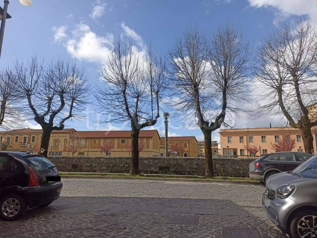 immagine annuncio 9 di 14
