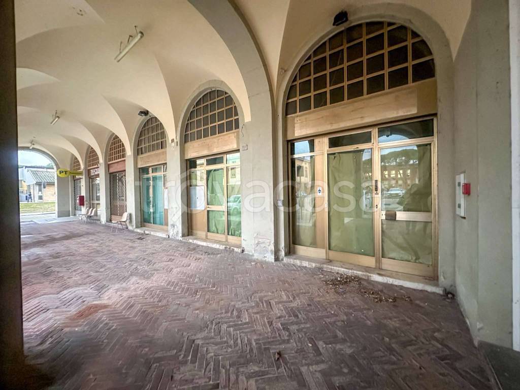 immagine annuncio 3 di 14