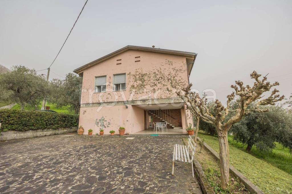 immagine annuncio 2 di 9
