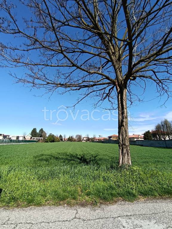 immagine annuncio 1 di 3