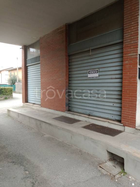 immagine annuncio 4 di 6