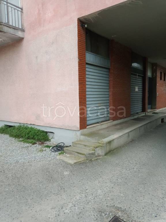 immagine annuncio 2 di 6