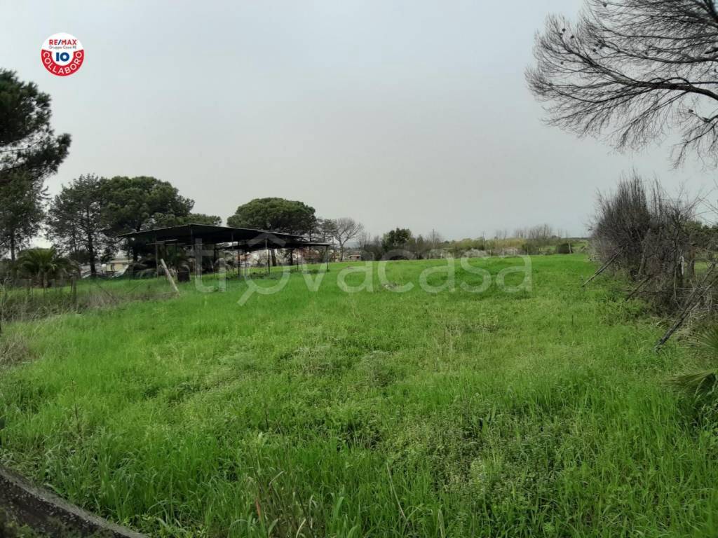 immagine annuncio 9 di 14