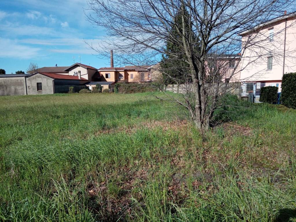 immagine annuncio 5 di 8