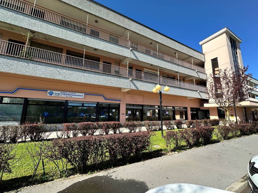 immagine annuncio 4 di 10