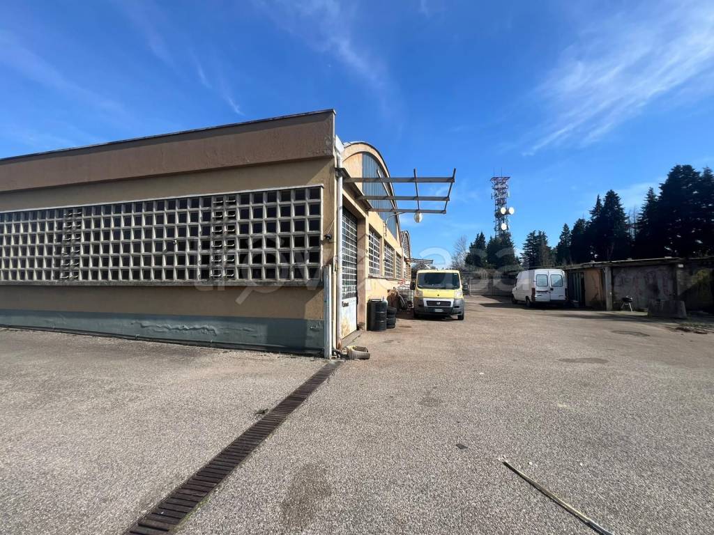 immagine annuncio 5 di 15