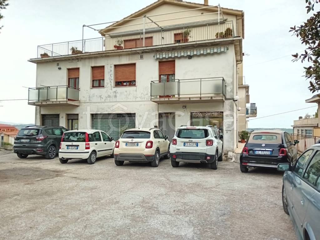 immagine annuncio 2 di 4