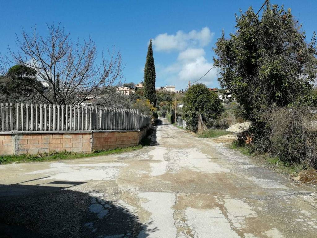 immagine annuncio 13 di 14