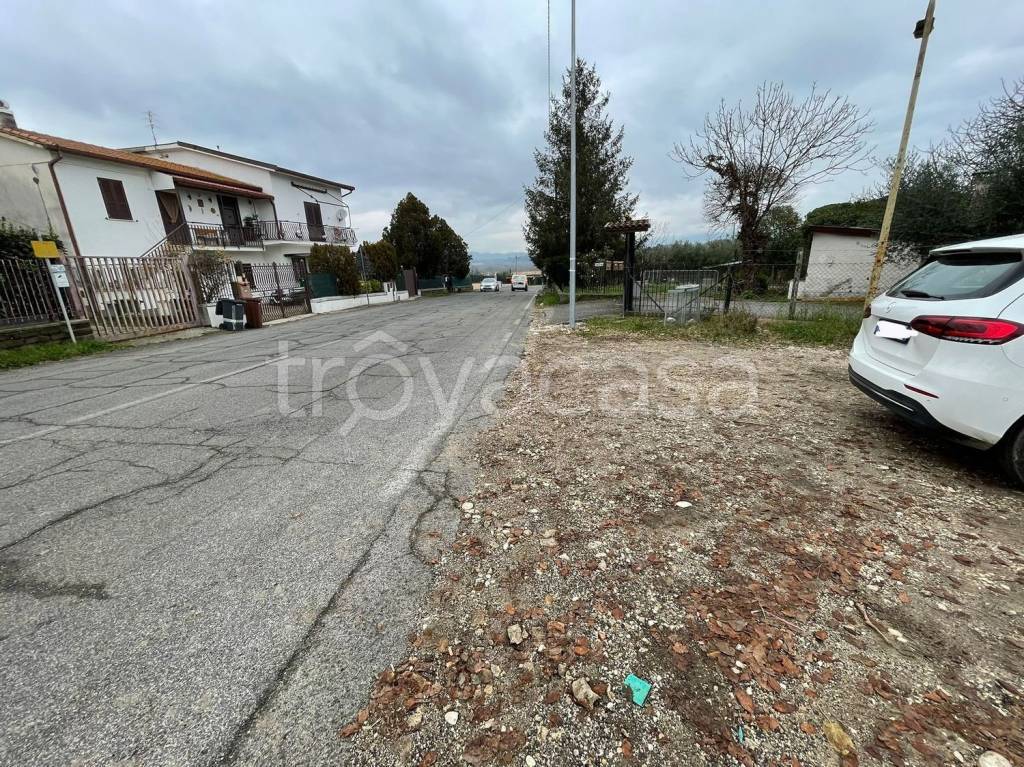 immagine annuncio 5 di 6