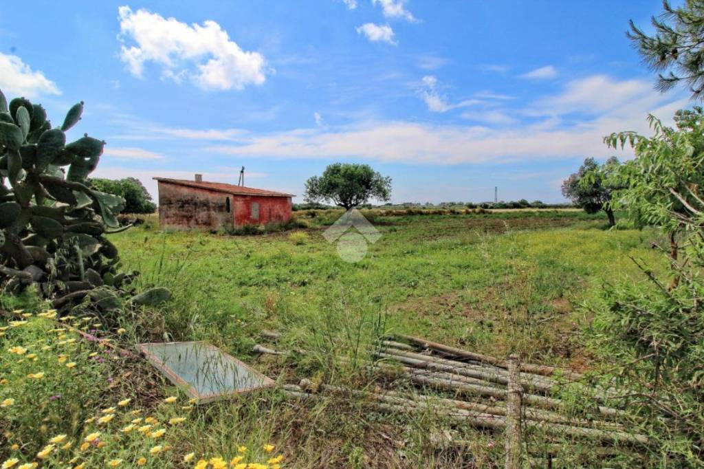 immagine annuncio 8 di 11