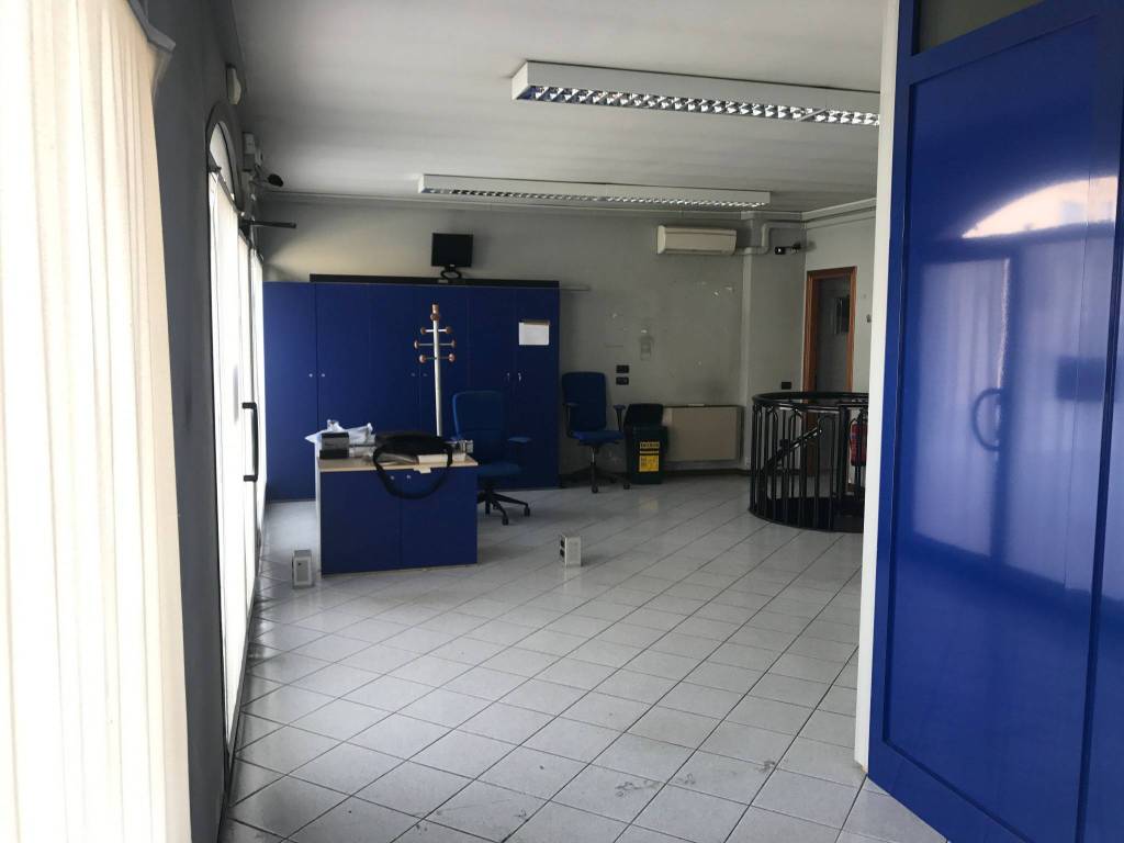 immagine annuncio 3 di 12