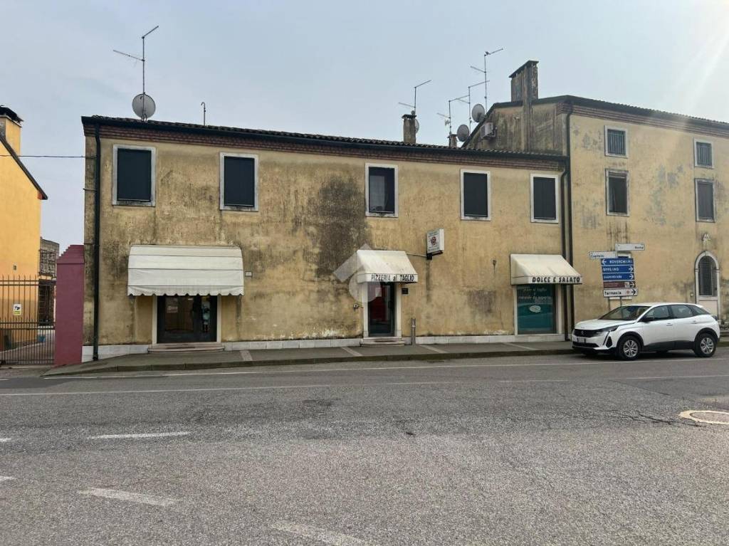 immagine annuncio 12 di 14