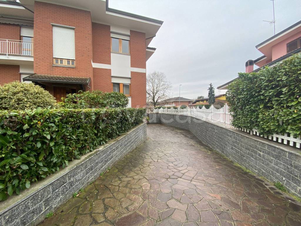 immagine annuncio 5 di 15