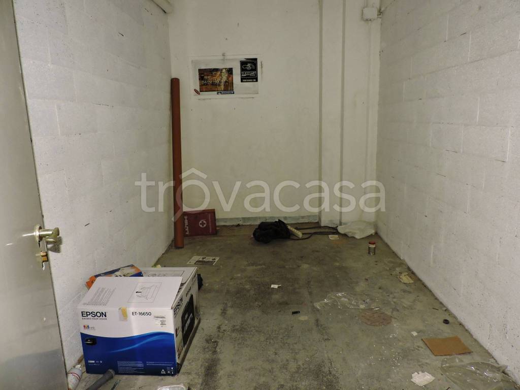 immagine annuncio 3 di 12