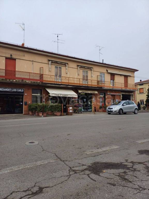 immagine annuncio 3 di 6