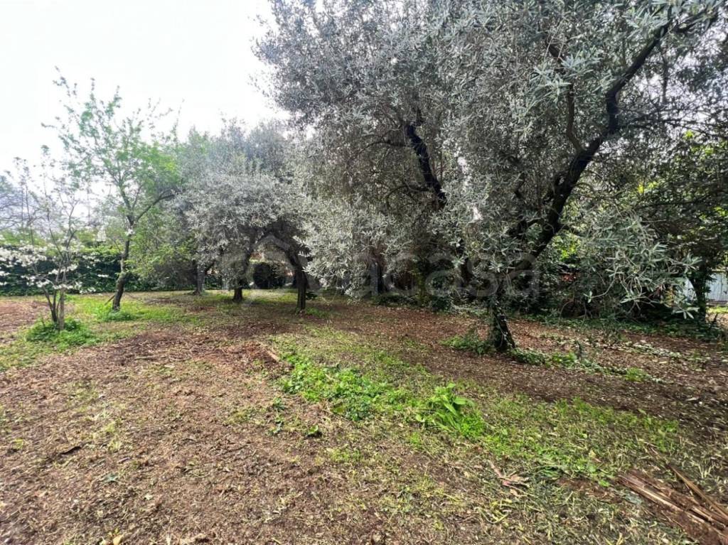 Terreno Residenziale in vendita a Velletri via Artemisia Mammucari, 161