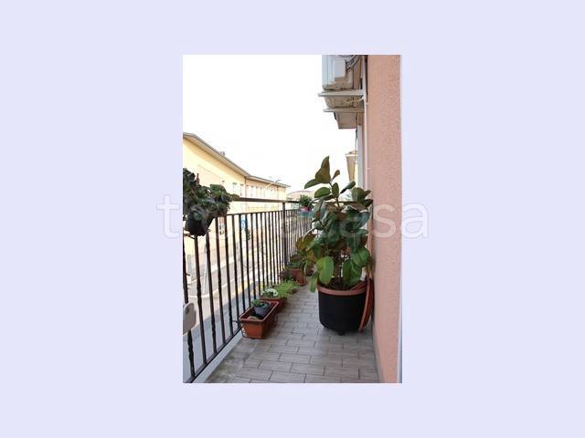 immagine annuncio 7 di 12