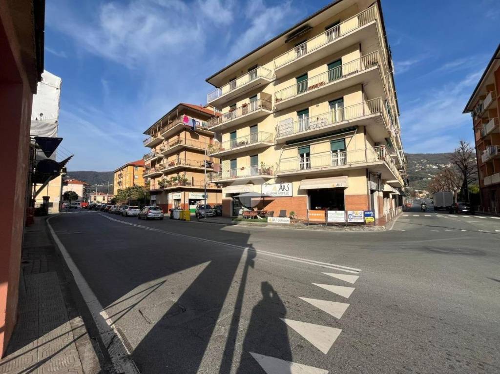 immagine annuncio 12 di 14