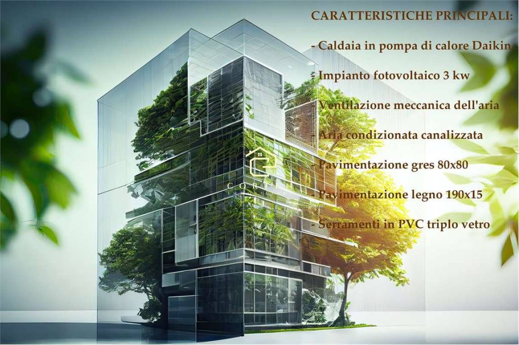 immagine annuncio 4 di 12