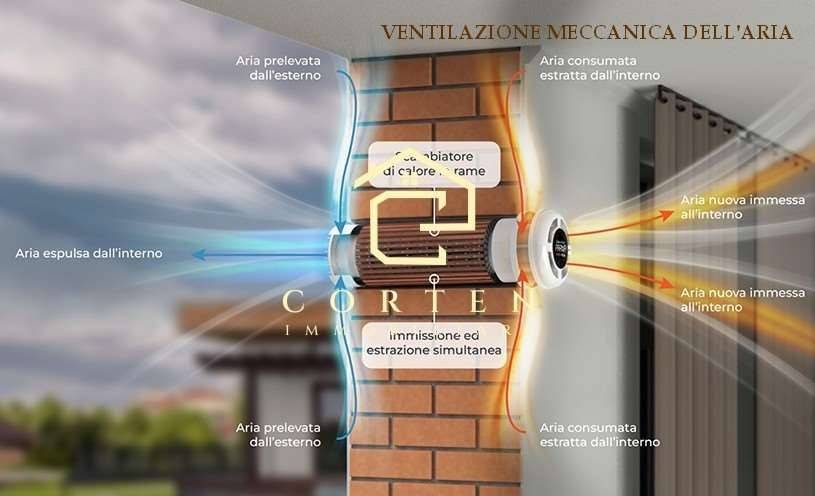 immagine annuncio 5 di 12