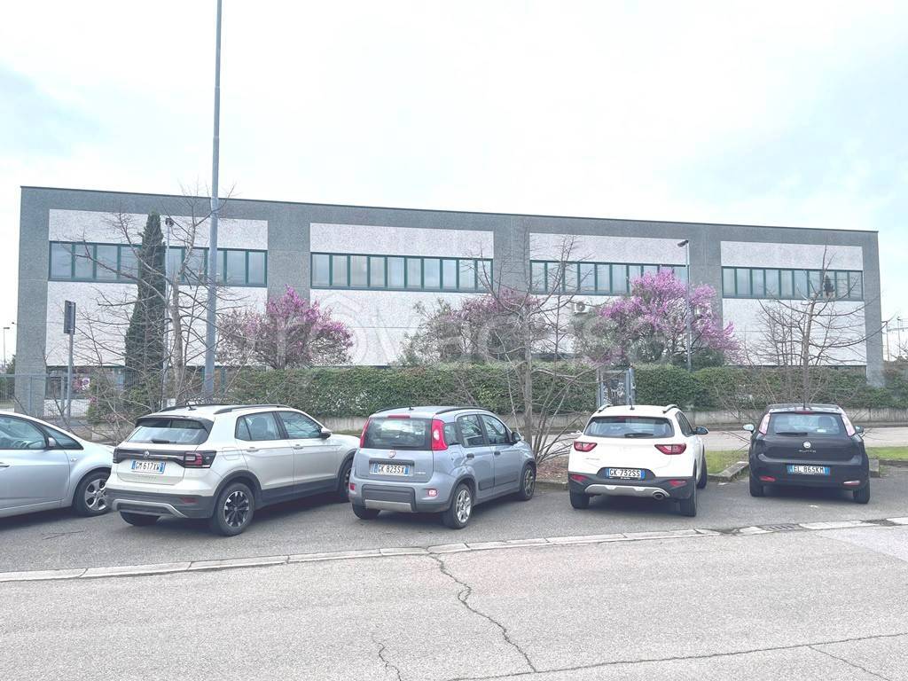 immagine annuncio 6 di 13