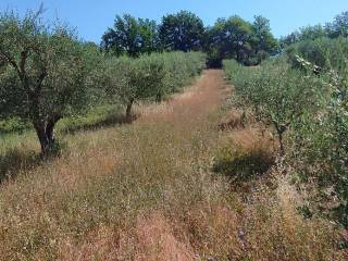 Terreno agricolo in vendita a teramo strada statale del gran sasso