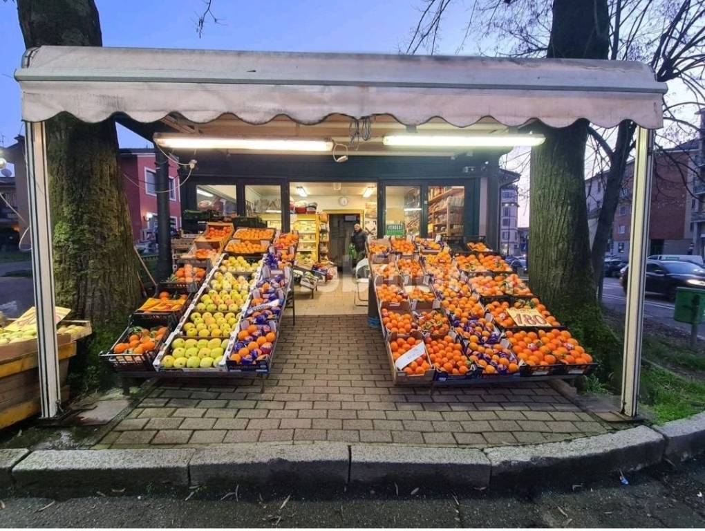 Frutta e verdura in in vendita da privato a Pavia piazzale Ferruccio Ghinaglia