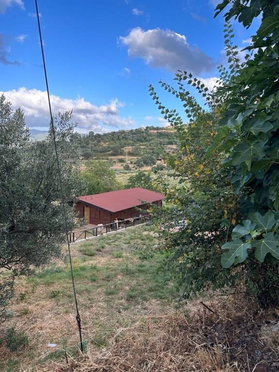 Terreno Residenziale in vendita a Dipignano via Basso