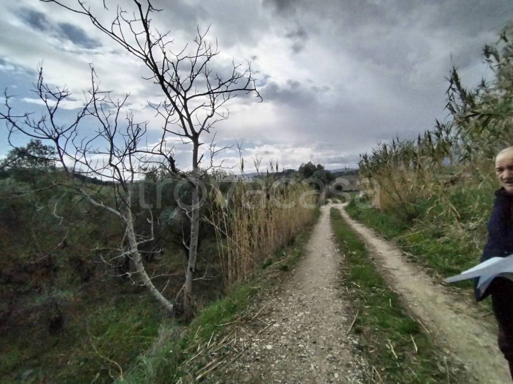 immagine annuncio 4 di 6