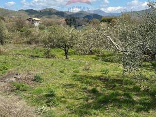 Terreno residenziale in vendita a linguaglossa via mareneve