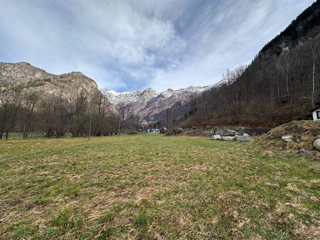 immagine annuncio 5 di 8