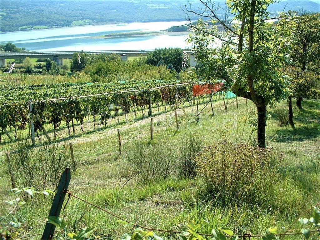 immagine annuncio 3 di 8