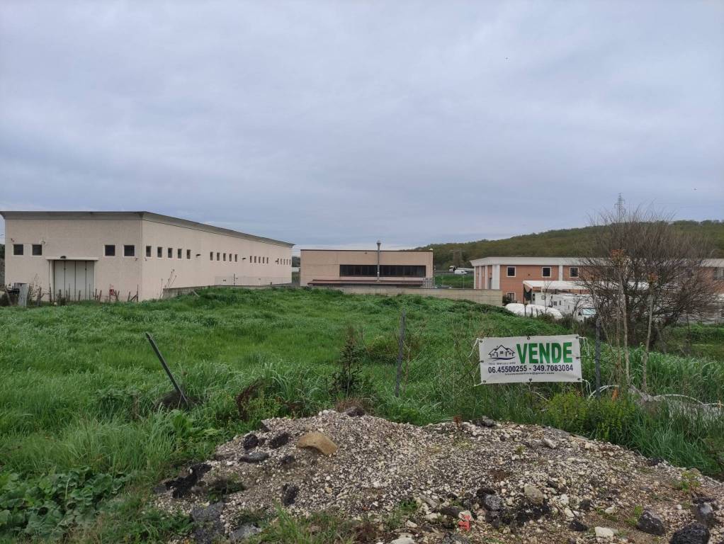 immagine annuncio 3 di 10