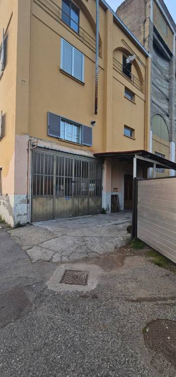 immagine annuncio 5 di 15