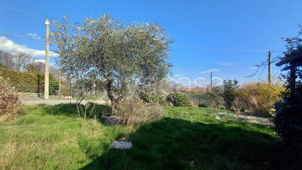 immagine annuncio 11 di 14