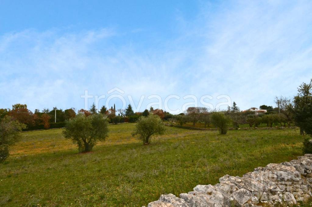 immagine annuncio 7 di 9