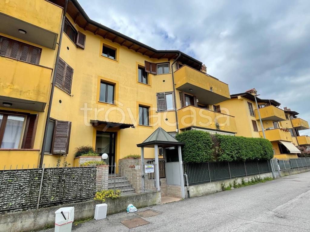 immagine annuncio 5 di 11