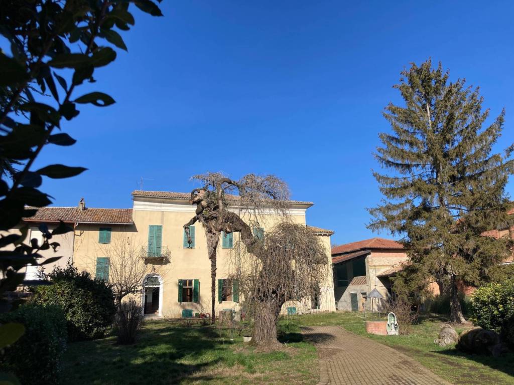 immagine annuncio 12 di 15