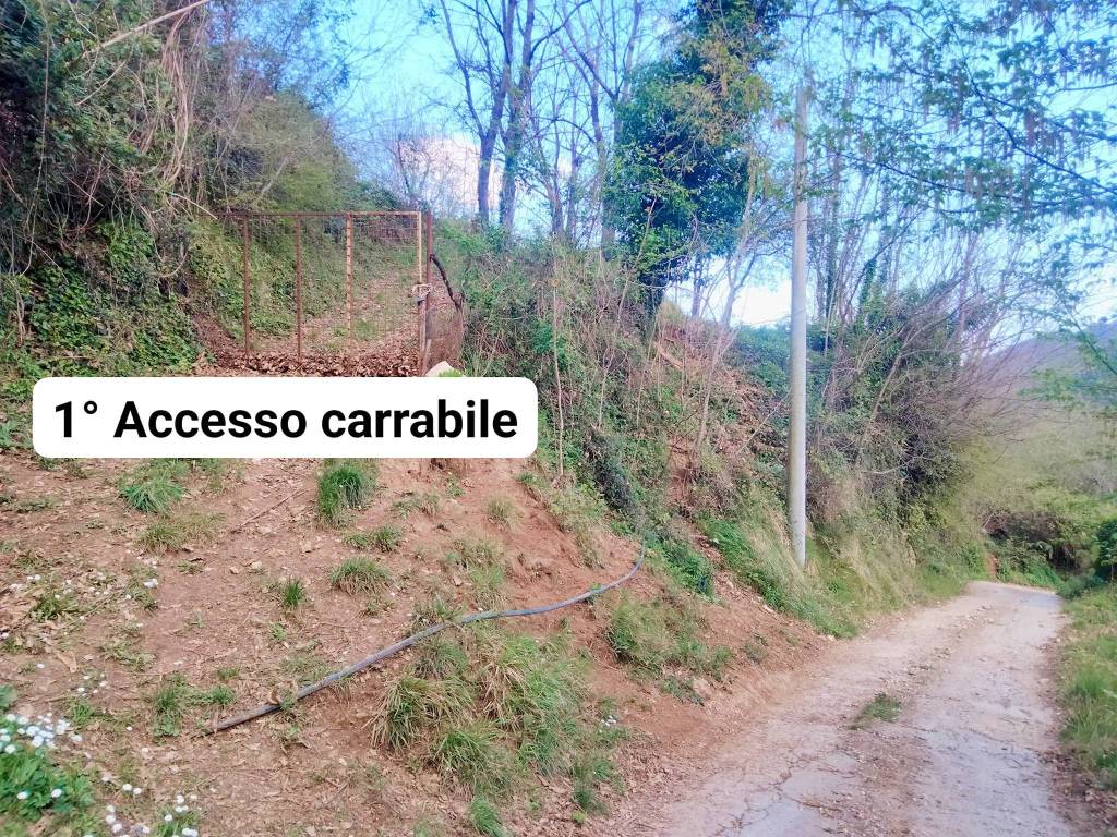 immagine annuncio 9 di 12
