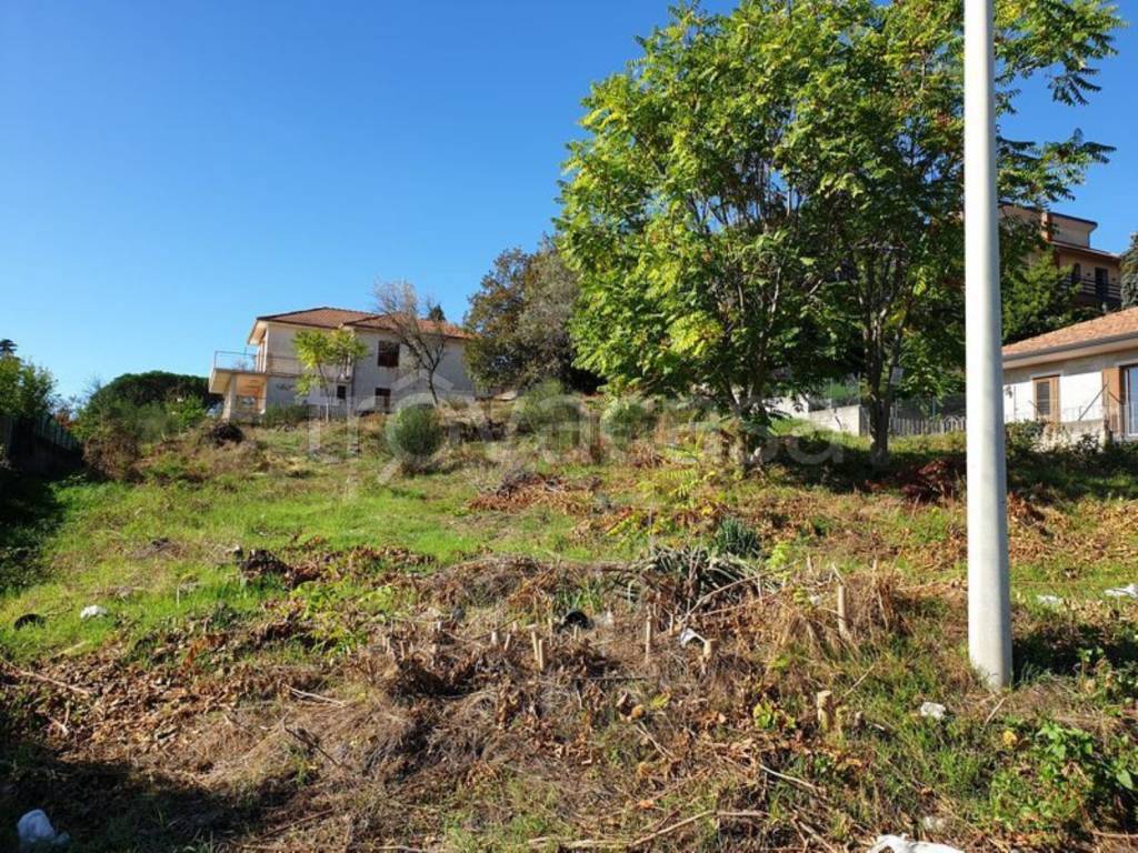 immagine annuncio 2 di 8