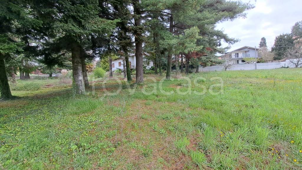 immagine annuncio 4 di 13