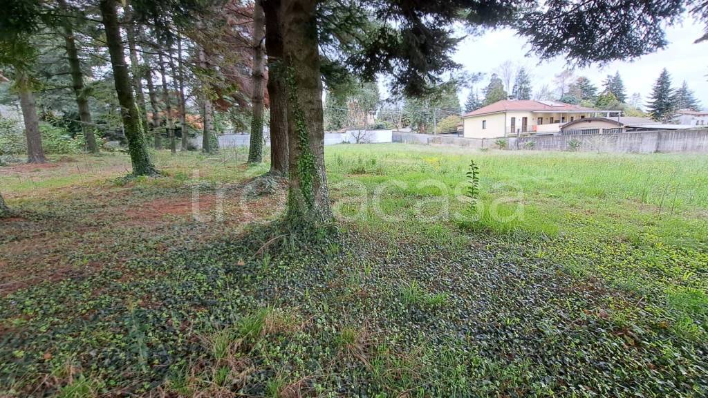 immagine annuncio 7 di 13