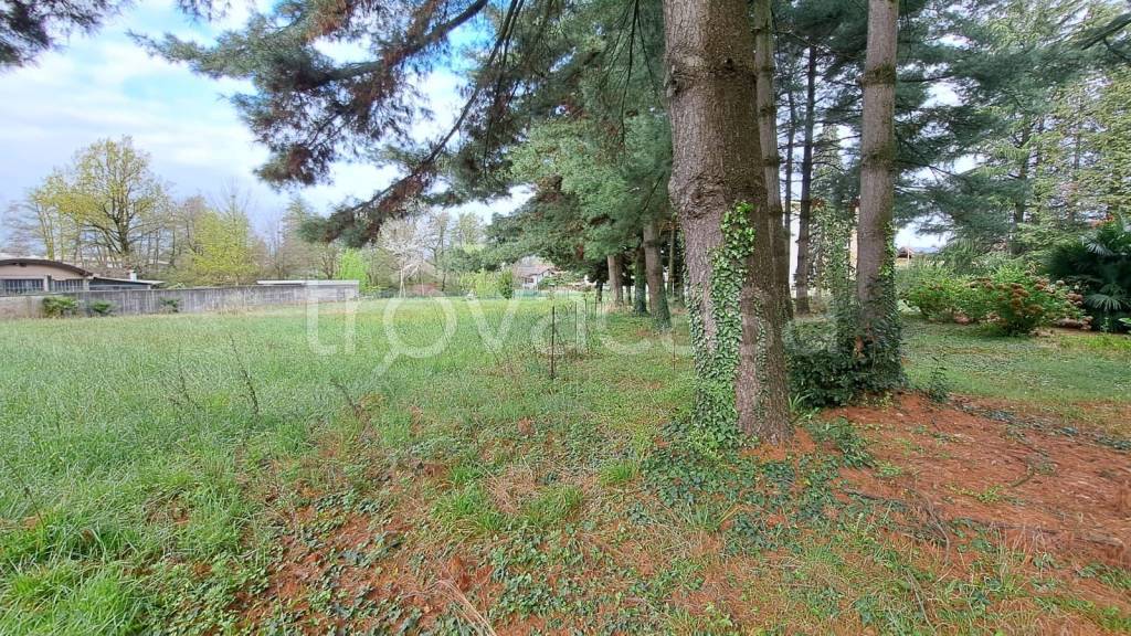 immagine annuncio 9 di 13